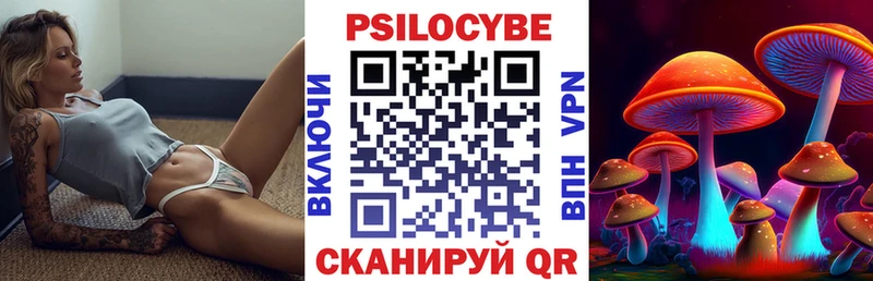 Галлюциногенные грибы Psilocybe  Нерюнгри 