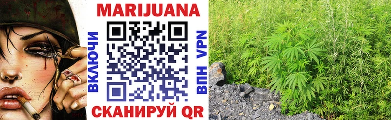 Шишки марихуана Amnesia  omg сайт  Нерюнгри 